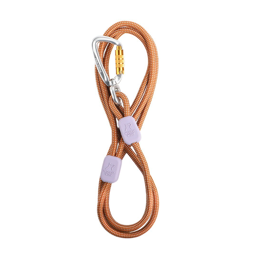 Rope Dog Leash Thin Terracotta