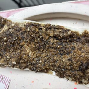 Brede plakken met beef long
